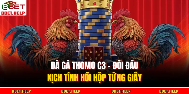 Đá gà Thomo C3 là đấu trường mang đến trải nghiệm