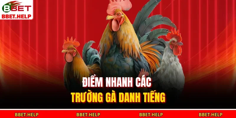 Điểm nhanh các trường gà danh tiếng