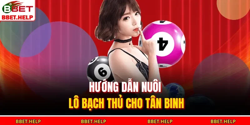 Hướng dẫn nuôi lô bạch thủ cho tân binh